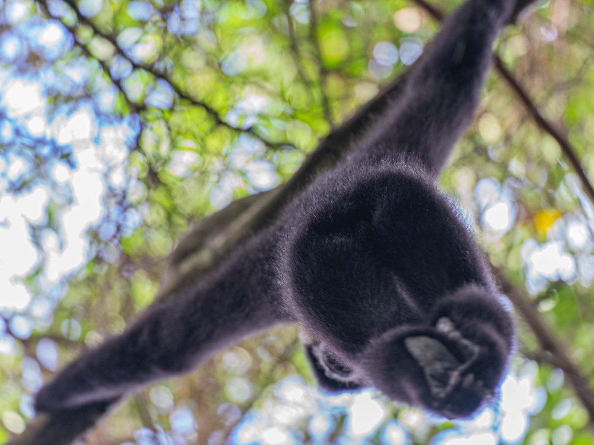 15 minutes until&nbsp;death